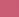 Pink Rose